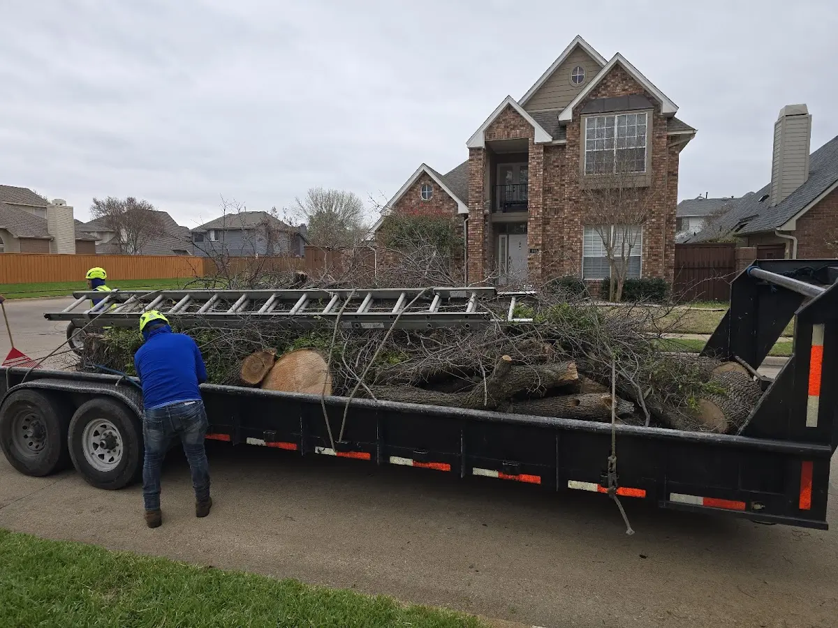 Expert Crown Reduction with proper safety equipment in Irvington